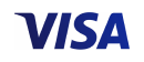 logo visa